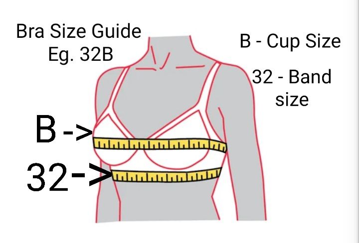 Cotton%20Bra.%20Best%20Bra%20for%20Outdoor%20activity.%20Firm%20Cup%20Design%20in%20Size%2032B%2034B%2036B%2038B%2040B%2042B%20-%20Image%208