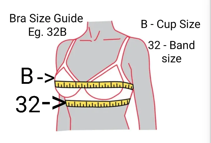 Basic%20Cotton%20Bra.%20Black,%20Beige%20&%20Gray%20Size%2032B%20%2034B%20%2036B%20%2038B%20%2040B%20%2042B%20-%20Image%203