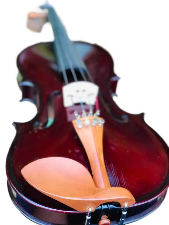 Brandurnburg%204/4%20Size%20German%20Made%20Violin%20with%20Hard%20Case%20Rosin%20and%20bow%20BB%20110%20-%20Coffee%20Brown%20-%20Image%207