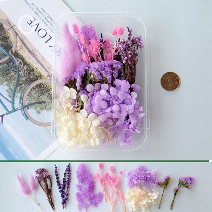 Mixed Dry Flower Box For Resin Art, Candle Making & Décor | Kart - Foto 2
