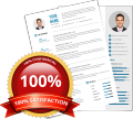 professional cv. 