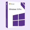Windows 10 Professional (Pre-Activated) bootable DVD. 