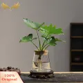 SuperRide Air Plant Propagation Jar Glass Planter with Wooden Tray for Hydroponic Plants Tabletop Propagation Vase for Air Plants Flower Cuttings Buyers' Favorite Hydroponic Plant Vase. 