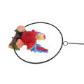 Parrot Crafts, Waterproof Beautiful Hanging Iron Ring Parrots for Courtyard for Balcony. 