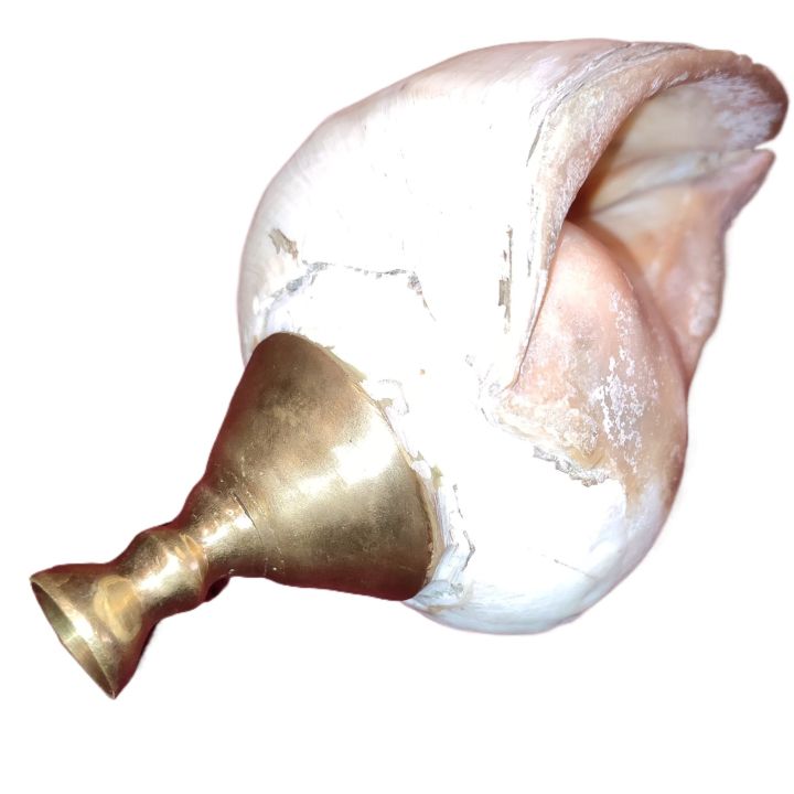 Sri%20Lankan%20Traditional%20Hakgediya%20Blowing%20Conch%20Shell%20with%20Brass%20Mouthpiece%20%7C%20Hakgediya%20(%E0%B7%84%E0%B6%9A%E0%B7%8A%E0%B6%9C%E0%B7%99%E0%B6%A9%E0%B7%92%E0%B6%BA)%20Large%20Sea%20Mollusk%20Shell%20Trumpet%20%7C%20Cultural%20Instrument%20for%20Festivals,%20Weddings%20&%20Auspicious%20Ceremonies%20%7C%20Traditional%20Blowing%20Conch%20Shell%20-%20Image%207