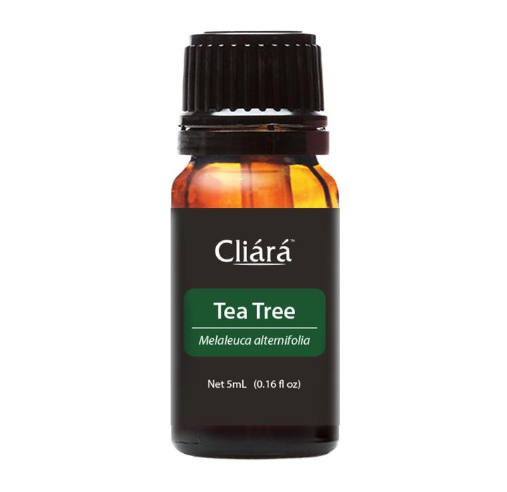 Cliara Tea Tree Essential Oil for Aromatherapy 10 Ml