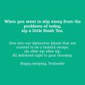 Stash Tea Ginger Peach Green  Matcha - 18 Tea Bags-36 gram (FROM DUBAI). 