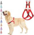 Dog  harness and leach/ 10 to 25kg weight  range.. 