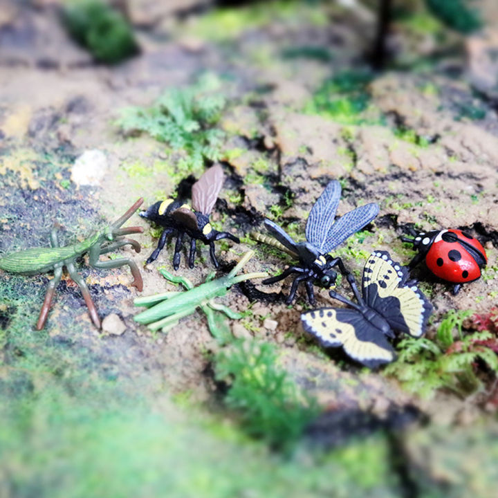 Vorix%20SF%206pcs/set%20Simulation%20Insect%20Model%20Mini%20Insect%20Butterfly%20Ladybug%20Spider%20Kids%20Educational%20Toys%20Action%20Figures%20Insect%20Model%20Collection%20Gifts%20-%20Image%202