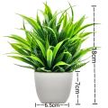 Artificial Plants with Plastics Pots Perfect Greenery for Home DecorationsOffice Desk Living Room and Bedroom Decoration. 