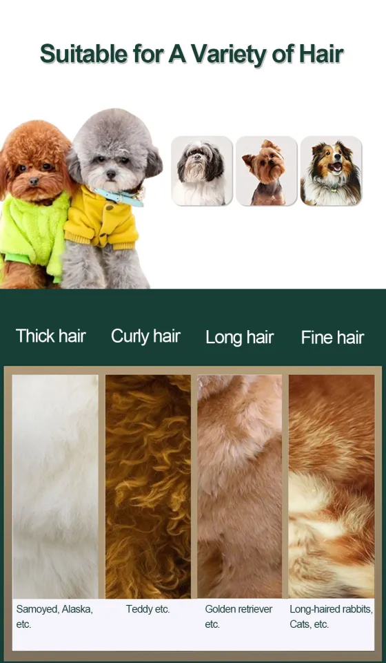 Difference Between Coarse Dog Hair Bio-Groom Wiry Coat Tearless