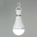 Rechargeable 12W Emergency LED Light Bulbs Outdoor Hanging Lamp Lights for Power Outage Camping Garden Parties--E26/E27 AC100~240V. 