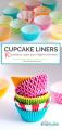 250PCS Cupcake Liner - Standard Size 2 Inches Muffin Liners - 10 Colors Baking Cups for Weddings, Birthdays, Baby Showers, Party. 