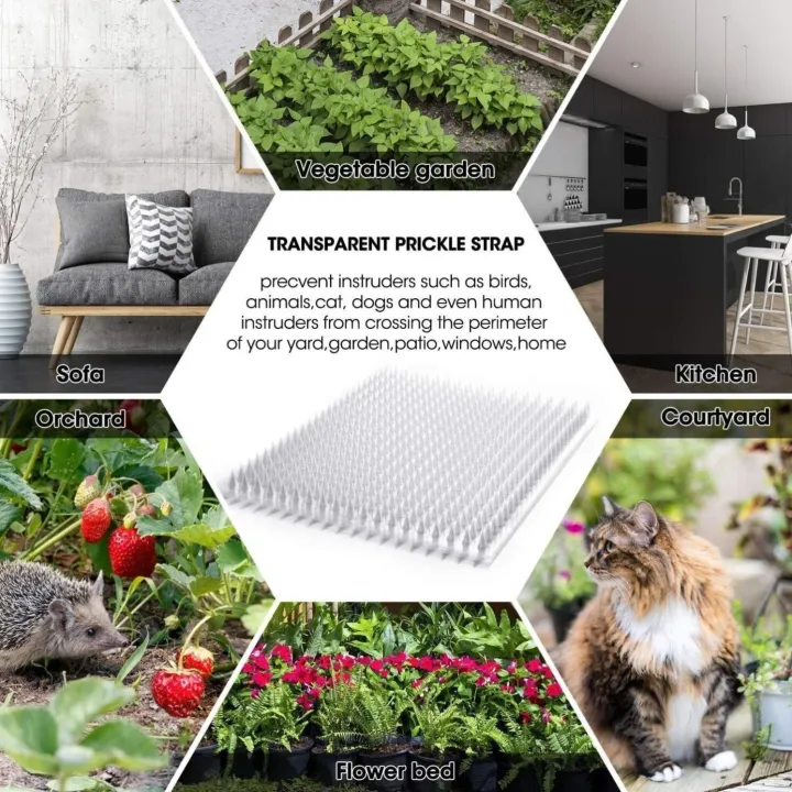 Garden%20Cat%20Scat%20Mat%20Anti%20Cat%20Bird%20Spike%20Repellent%20Mat%20Prevent%20Dog%20Digging%20%E9%98%B2%E7%8C%AB%E5%88%BA%E7%BD%91%E5%9E%AB%20-%20Image%204