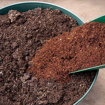 Coco%20Peat%205KG%20Fertilizer%20Agriculture%20%E0%B6%B4%E0%B7%92%E0%B6%BB%E0%B7%92%E0%B7%83%E0%B7%92%E0%B6%AF%E0%B7%94%20%E0%B6%9A%E0%B6%BB%E0%B6%B1%E0%B6%BD%E0%B6%AF%20%E0%B6%9A%E0%B7%9C%E0%B7%84%E0%B7%94%E0%B6%B6%E0%B6%AD%E0%B7%8A%20Home%20Garden%20Grow%20-%20Image%203