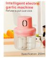 Intelligent Electric Garlic Machine Garlic Cutter with Multifunctional Fruit Vegetable Food Chopper iegm. 