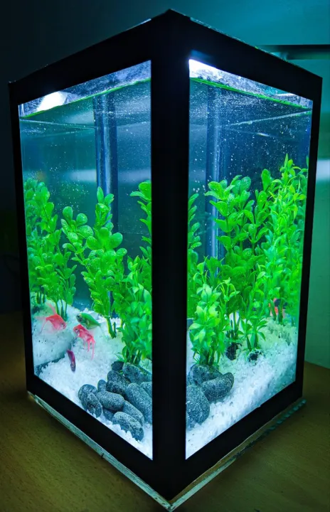 Large%20glass%20fish%20tank%20(8L%20Aquarium%20tank)full%20set%20(with%201.5kg%20decarative%20white%20pebbles%20/0.5kg%20natural%20granite%20stones%20/4%20X%20artificial%20aquarium%20bush)%20-%20Image%204