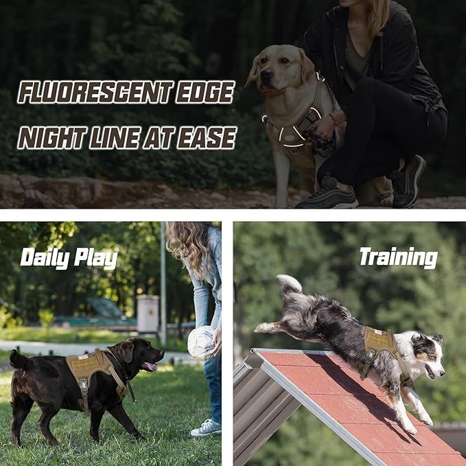 Dog%20Harness%20Pet%20Leash%20Lead%20Set%20for%20Small%20Medium%20Large%20Dogs,%20Adjustable%20Reflective%20No-Pull%20Padded%20Puppy%20Dog%20Harness%20Collar%20Chest%20Vest%20with%20Handle%20Training%20Walking%20Leash,%20Saddle%20Style%20Mesh%20Dog%20Harness%20Comfortable%20Harness%20for%20Small%20to%20Large%20Dogs%20-%20Image%206