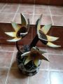 Coconut shell flower vase. 