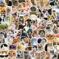 100PCS Cute Cat Meme Stickers - Viral Kitty Meme Doodle Decals For DIY Fun Layor. 