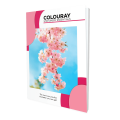 Colouray B5 Exercise Book - 120pgs - Singe Rule. 