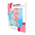 Colouray B5 Exercise Book - 120pgs - Singe Rule. 
