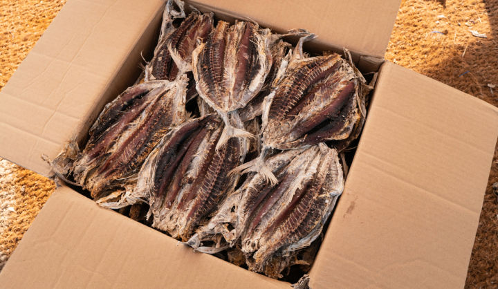 Premium%20Dried%20Tuna%20Fish%20Multipack%20-%20Low%20Fat,%20Healthy%20Snack%20Option%20-%20Image%202