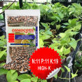 Osmocote High-K (N:11 P:11 K:19) Superior fertilizer for long-term growth 100g. 
