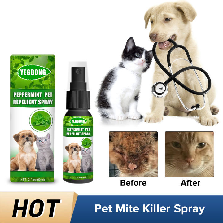 Photo inspiration: Gallery Detail: Unbeatable Prices Pet Flea Spray Control Itch Relief Lice Insect