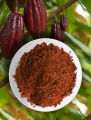 Organic Cacao Powder - 500G Original Chocolate. 