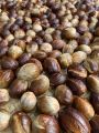 Nutmeg 1kg ( Sadikka ) High Quality Spices Sri Lankan Organic Herbs. 