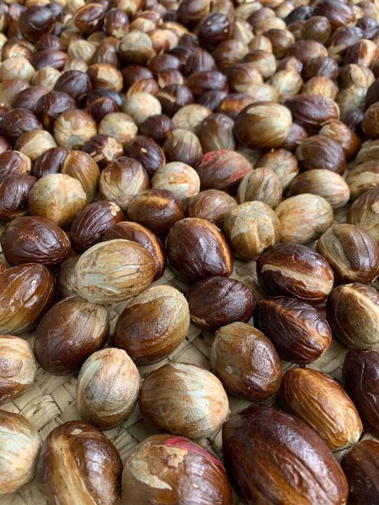 Nutmeg%201kg%20(%20Sadikka%20)%20High%20Quality%20Spices%20Sri%20Lankan%20Organic%20Herbs%20-%20Image%205