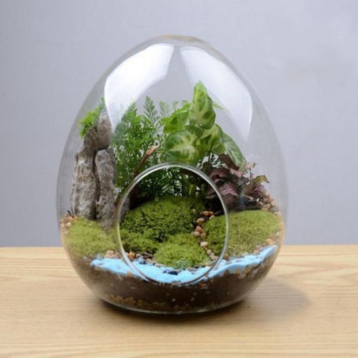 %E3%80%90HOT%E3%80%91%20Creative%20Egg-Shaped%20Glass%20Bottles%20Succulent%20Glass%20Vase%20Hydroponic%20Fleshy%20Micro%20Landscape%20Glass%20Terrarium%20Moss%20Home%20Decoration%20-%20Image%204