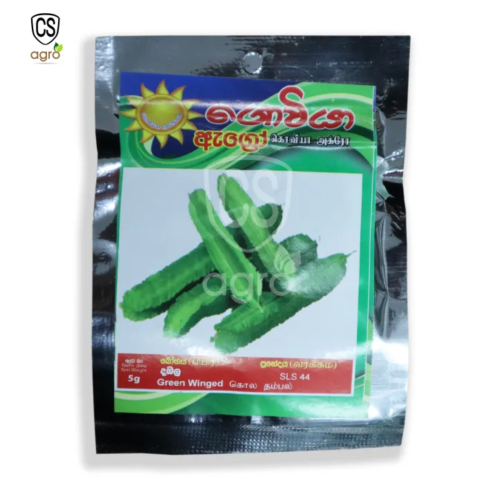 Green%20Winget%20Dabala%20Beeja%20%E0%B6%AF%E0%B6%B9%E0%B6%BD%20%E0%B6%B6%E0%B7%93%E0%B6%A2%20Home%20Garden%20Agriculture%20-%20Image%203