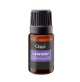 Cliara Bulgarian Lavender Essential Oil 10Ml. 