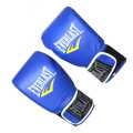 Everlast  Boxing Gloves. 