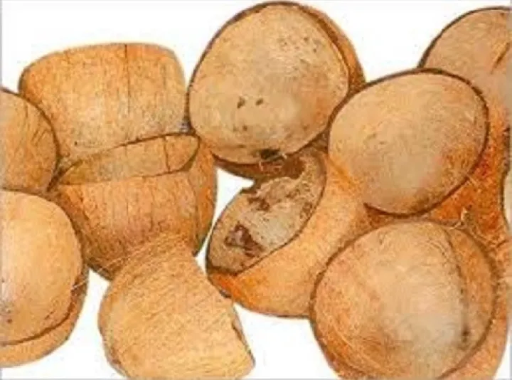 10%20Pcs%20Dry%20Coconut%20Shell%20Without%20Fiber%20But%20Not%20Smooth%20Natural%20Design%20-%20Image%203