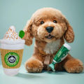 Lovely Starbuck Coffee Cup Pet Squeaky Toys Parody Dog Plush Toy. 