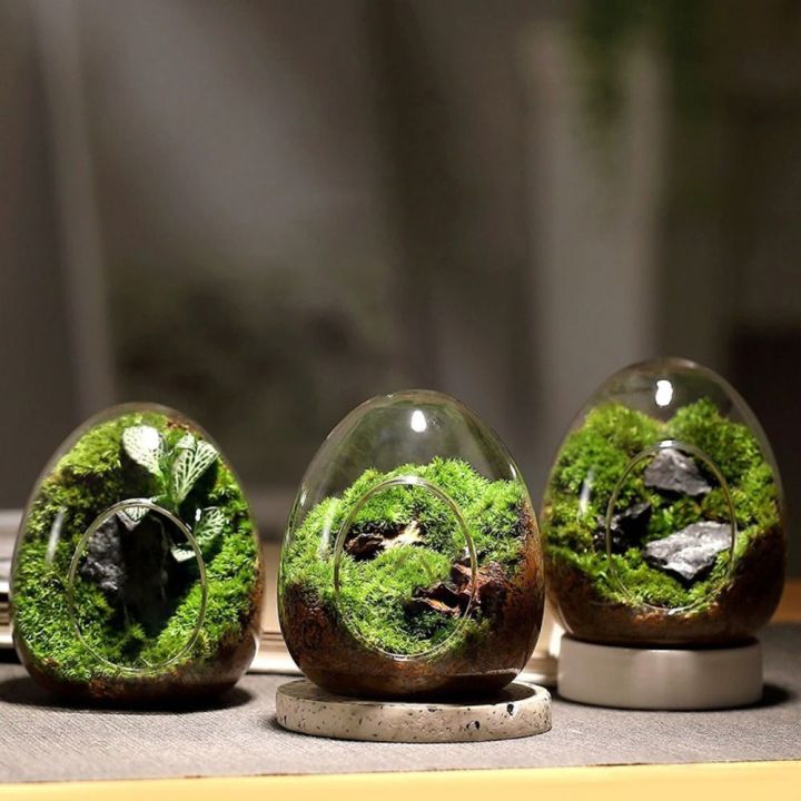 %E3%80%90HOT%E3%80%91%20Creative%20Egg-Shaped%20Glass%20Bottles%20Succulent%20Glass%20Vase%20Hydroponic%20Fleshy%20Micro%20Landscape%20Glass%20Terrarium%20Moss%20Home%20Decoration%20-%20Image%202