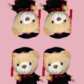 Graduation Teddy Bear 22cm Plush Stuffed Animal Stuffed Animal Bear with Graduation Hat, Diploma and Degree , Graduation Preschool Kindergarten Gift for Friend, Relatives, Kids. 