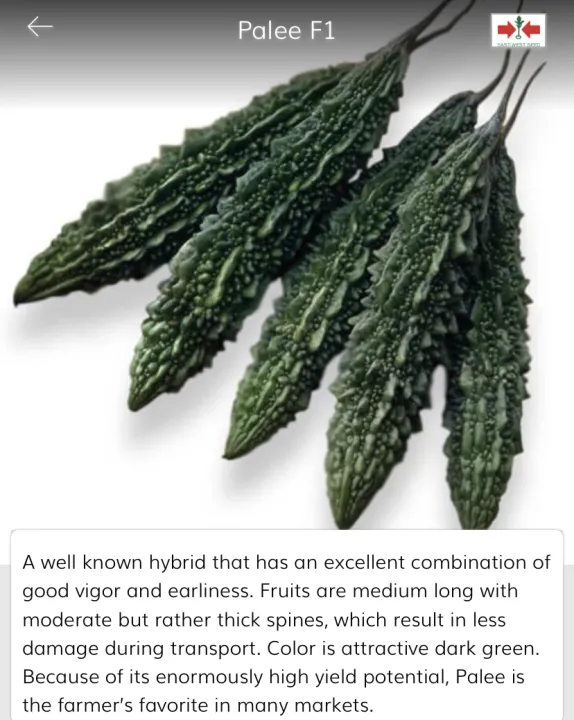 Bitter%20Gourd%20Palee%20F1%20Hybrid%20seeds%20Home%20Garden%20Best%20Seed%20East-west%20karawila%20Beeja%20-%20Image%203