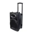 OLiK  Rechargeable Professional Speaker Party box NSC 212 with a massive 12 inch Speakers inside with good bass – PA System with 2 Wireless Microphones, Remote Control, and Charging Cable – Portable Audio for Events & Parties - Karaoke Supported. 