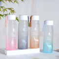 Girl Leakproof Water Bottle 560ml Travel Portable Water Bottle Plastic. 