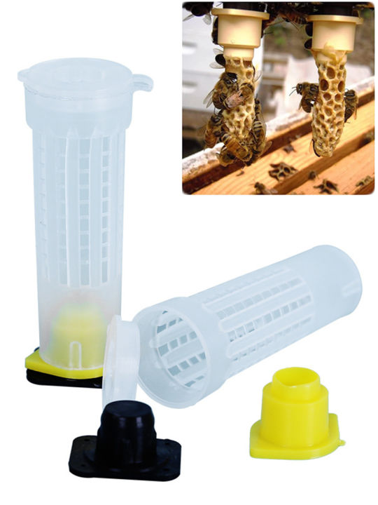 Insect Rearing Cups 10pcs Beekeeping Rearing Cup Kit Bee Queen Cages Roller Beekeeping ...