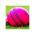 Pink Leather Cricket Ball 5 1/2 Oz. 