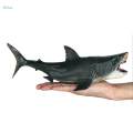 Painted Shark Action Figures Megalodon Model Playset Realistic Creature Shark Toy for Collection. 