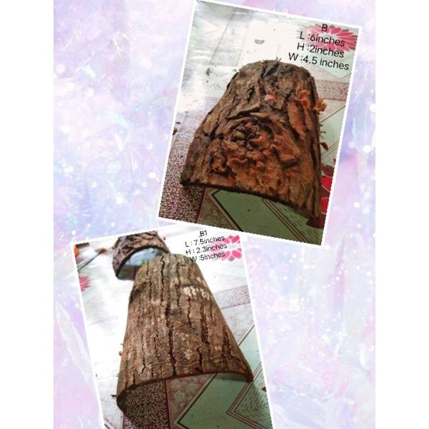 %E2%96%A8%E2%98%83Tarantula%20hide,%20Reptile%20etc..Balat%20ng%20Mahogany%20,dry%20Mahogany%20Bark%20-%20Image%204