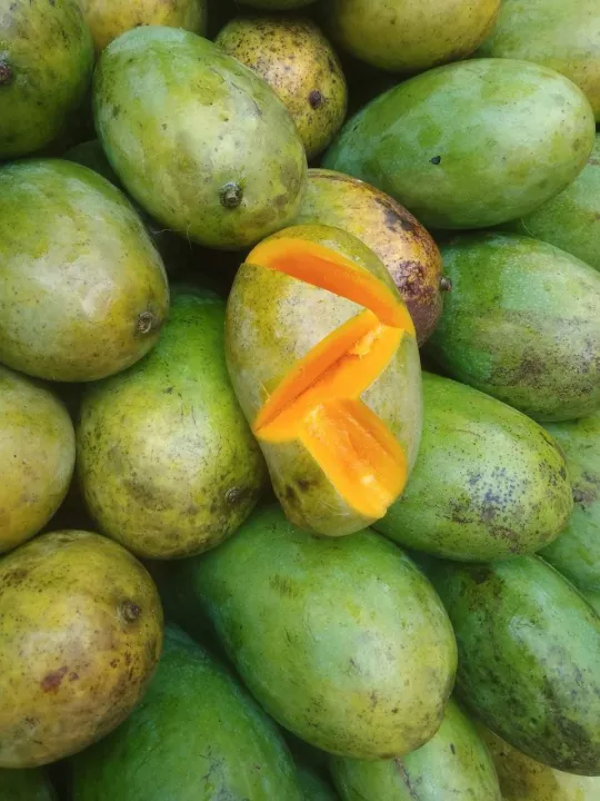 Dehydrated%20Mango%20100%25%20Natural%20Organic%20Dried%20Slices%20-%20Image%204