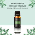 Cliara Rosemary Essential Oil 10ml. 