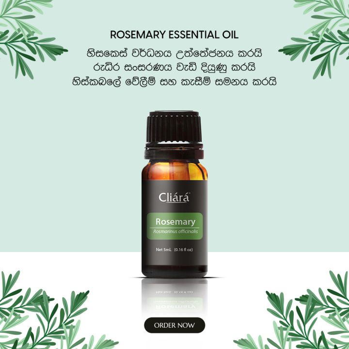 %20Cliara%20Rosemary%20Essential%20Oil%2010%20Ml%20-%20Image%202